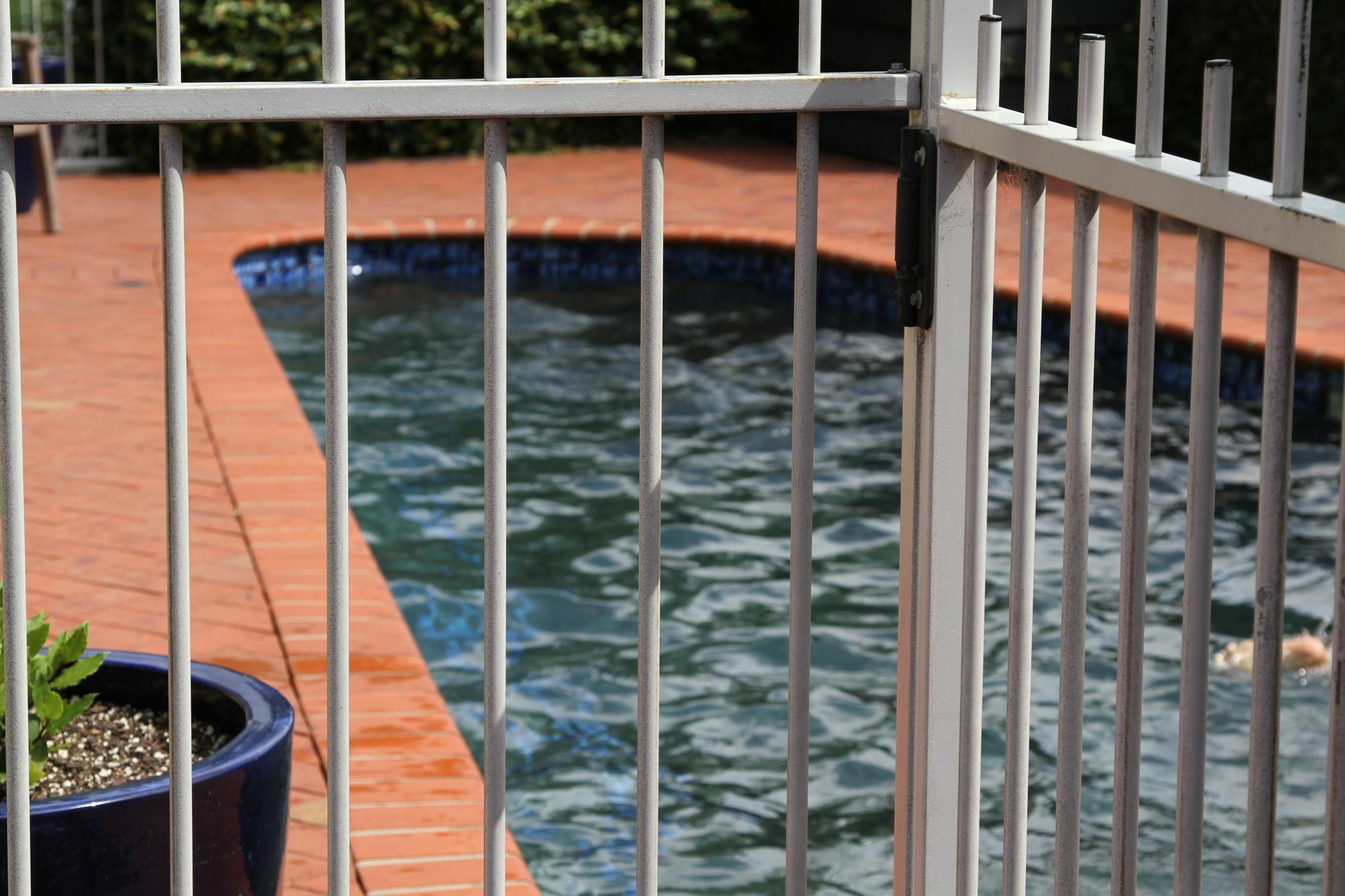 Quantum Lodge Motor Inn Hamilton Dış mekan fotoğraf